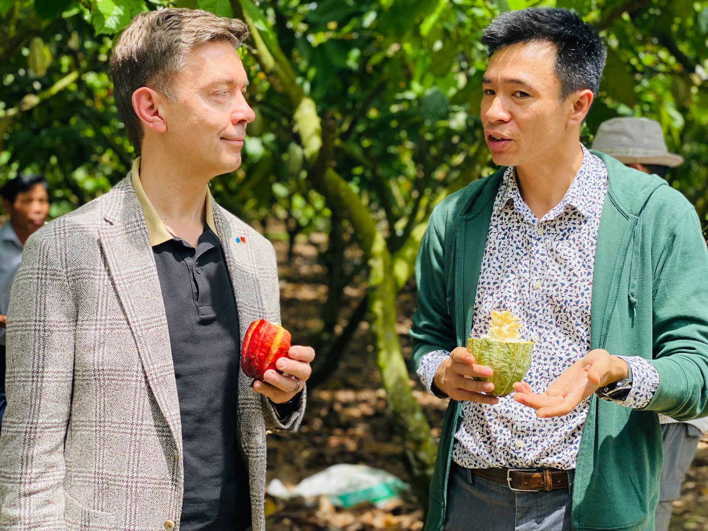 Đại sứ EU Julien Guerrier nghe đại diện Helvetas giải thích về mô hình hỗ trợ nông dân trồng cacao ở Đắk Lắk. Ảnh: Thu Loan. Đại sứ EU Julien Guerrier nghe đại diện Helvetas giải thích về mô hình hỗ trợ nông dân trồng cacao ở Đắk Lắk. Ảnh: Thu Loan.