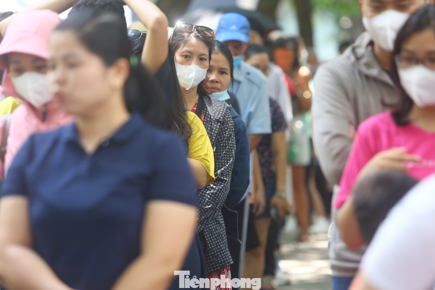 Đối với tuyến City tour của Công ty Cổ phần Du lịch Việt Nam – Hà Nội (Vietnam Sightseeing) gồm 4 xe vận chuyển miễn phí: Biển kiểm soát 29B-19982; 29B-205.45; 29F-016.84 và 29F-017.81. Thời gian xuất phát từ 9h15 - 17h45, cứ 30 phút sẽ có một chuyến. Dự kiến mỗi ngày tuyến này cũng chạy 18 chuyến xe, với 44 vé miễn phí/chuyến.