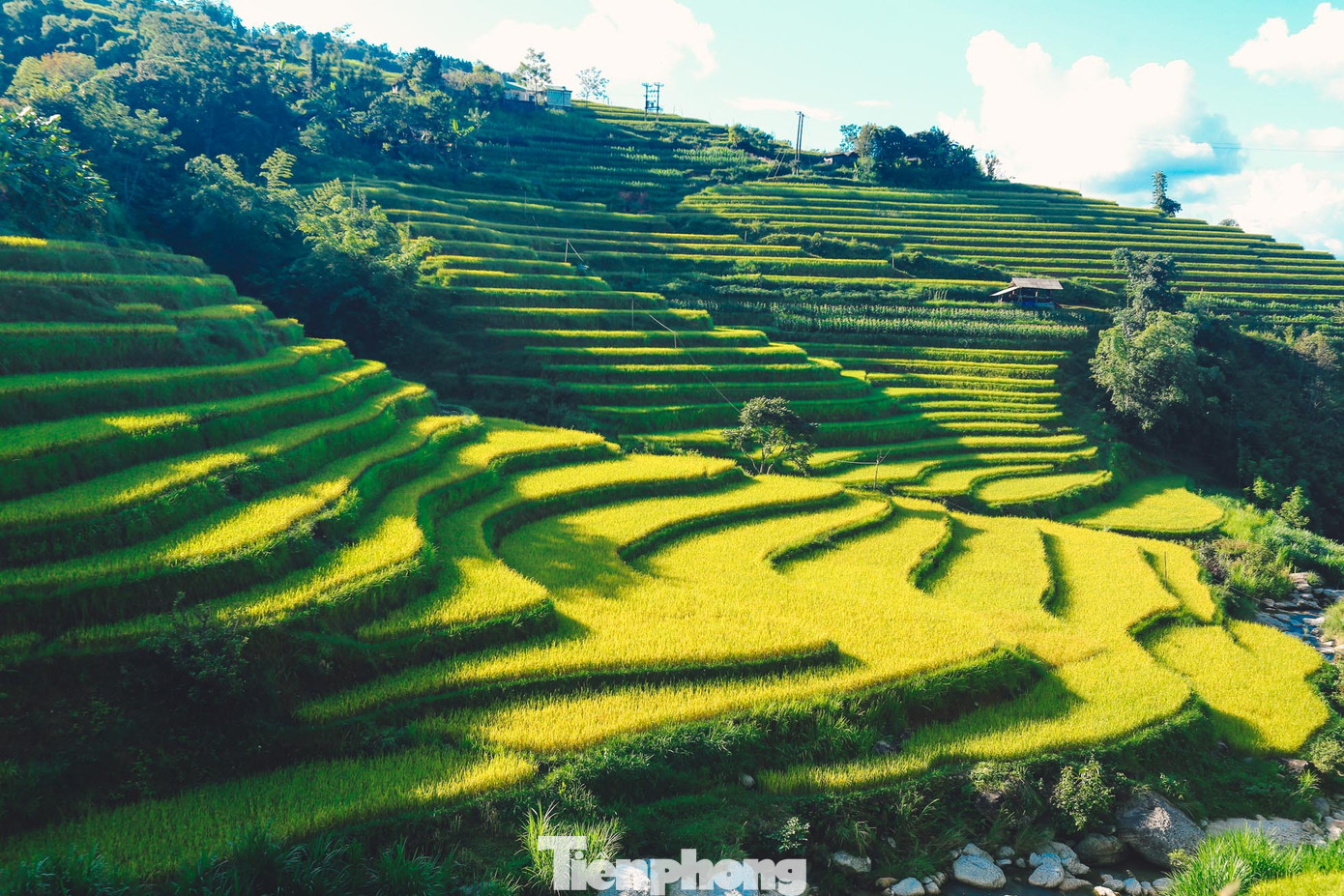 Những đường cong mềm mại, uốn lượn với núi rừng. Những đường cong mềm mại, uốn lượn với núi rừng.
