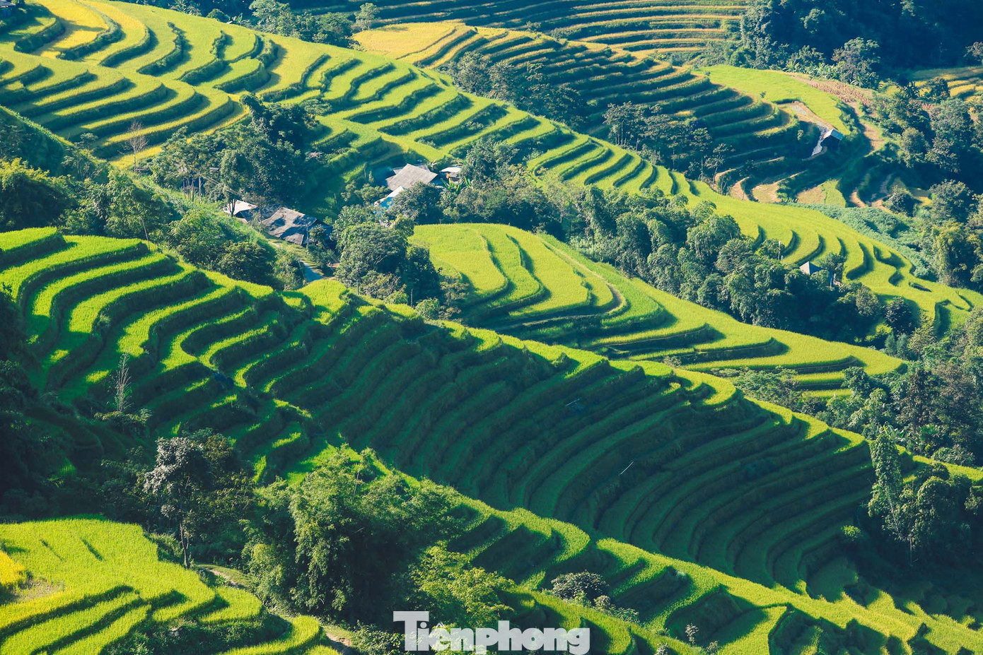Những thửa ruộng bậc thang xếp tầng tầng lớp lớp, phủ kín những ngọn đồi giống như một tác phẩm nghệ thuật đầy ấn tượng. Những thửa ruộng bậc thang xếp tầng tầng lớp lớp, phủ kín những ngọn đồi giống như một tác phẩm nghệ thuật đầy ấn tượng.