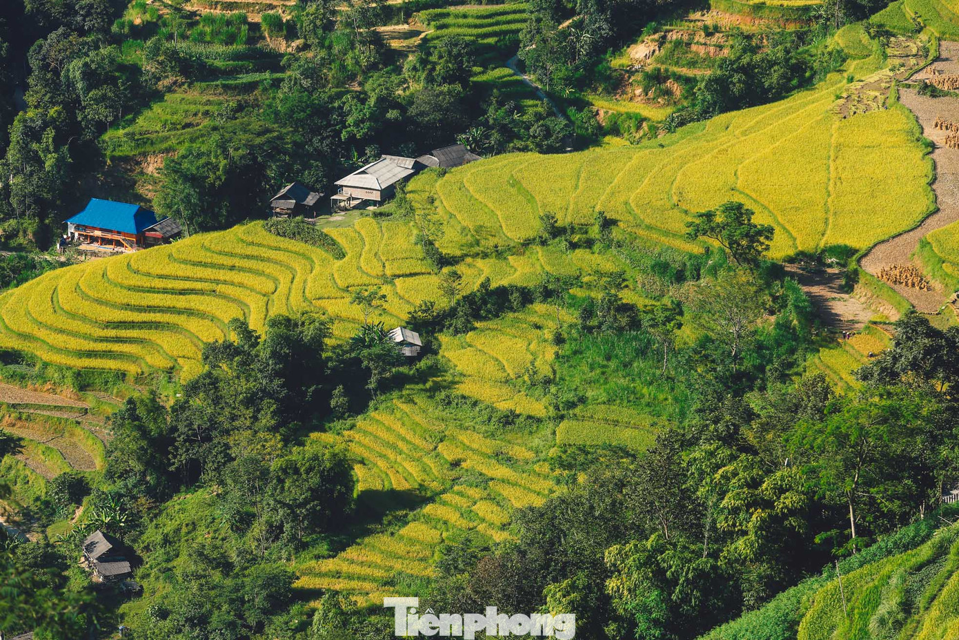 Điểm nhấn của Hoàng Su Phì là danh thắng ruộng bậc thang trải đều ở 24 xã, thị trấn với tổng diện tích trên 9.000 ha đã được cộng đồng các dân tộc trong huyện tôn tạo phát triển qua hàng trăm năm, trong đó có 675 ha tại 11 xã đã được Bộ Văn hóa, Thể thao và Du lịch xếp hạng Danh thắng Quốc gia. Điểm nhấn của Hoàng Su Phì là danh thắng ruộng bậc thang trải đều ở 24 xã, thị trấn với tổng diện tích trên 9.000 ha đã được cộng đồng các dân tộc trong huyện tôn tạo phát triển qua hàng trăm năm, trong đó có 675 ha tại 11 xã đã được Bộ Văn hóa, Thể thao và Du lịch xếp hạng Danh thắng Quốc gia.