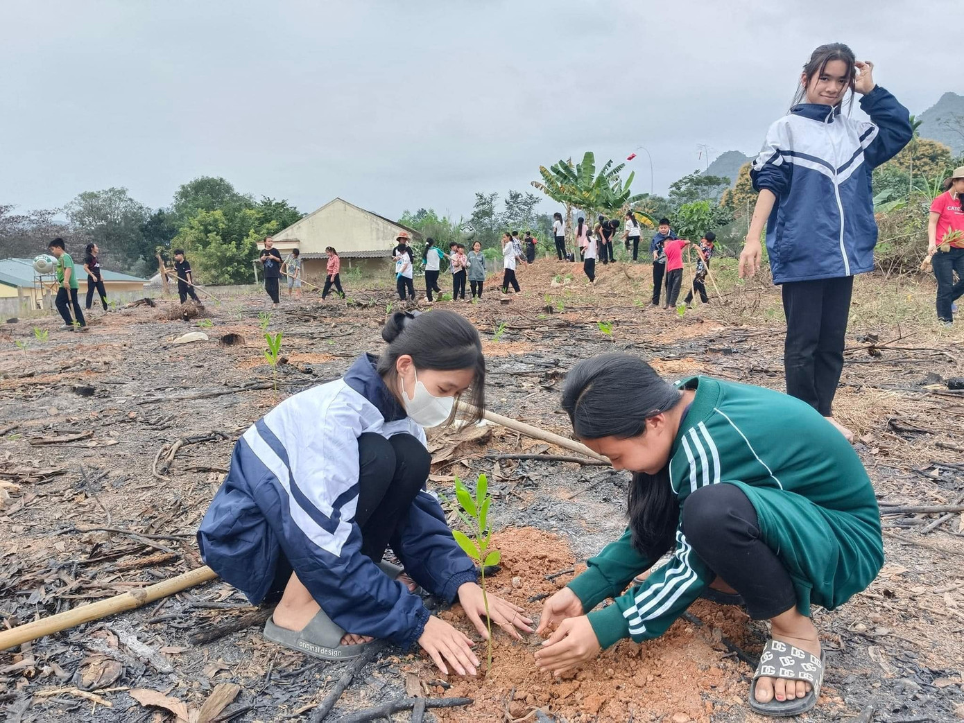 Nhiều em học sinh nhỏ trên địa bàn huyện cũng tham gia Tết trồng cây. Nhiều em học sinh nhỏ trên địa bàn huyện cũng tham gia Tết trồng cây.