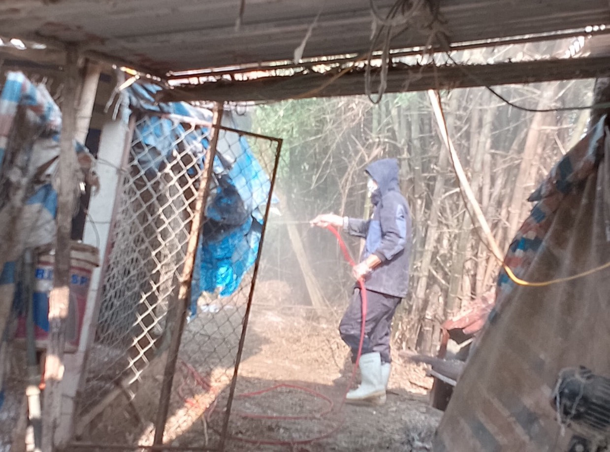 Công tác phun khử trùng chuồng nuôi nơi phát hiện dịch bệnh được tăng cường.