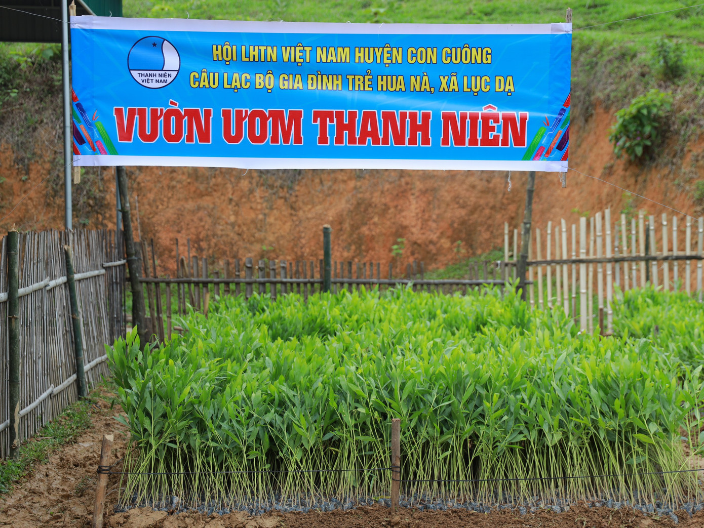 Chương trình đã trao tặng vườn ươm với 15.000 cây keo giống cho câu lạc bộ nhằm hỗ trợ, giúp đỡ, đồng hành với thanh niên trong phát triển kinh tế lập thân, lập nghiệp.