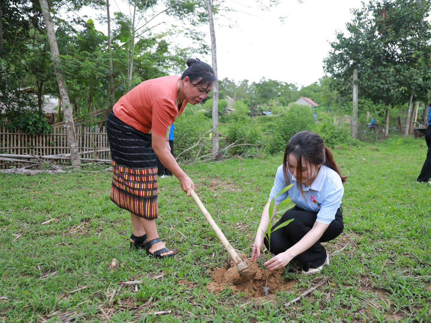 Các đoàn viên và người dân cùng nhau đào đất trồng các cây giống.