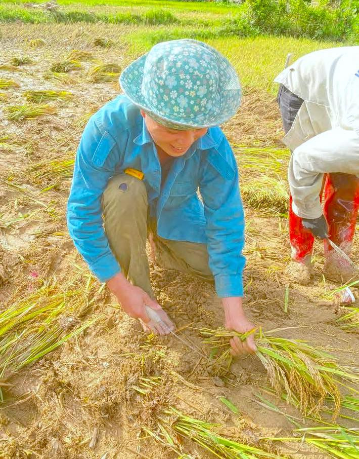 Sau khi lũ rút, người dân đã ra đồng bới bùn đất mong vớt vát những cây lúa chưa bị cuốn trôi. Sau khi lũ rút, người dân đã ra đồng bới bùn đất mong vớt vát những cây lúa chưa bị cuốn trôi.