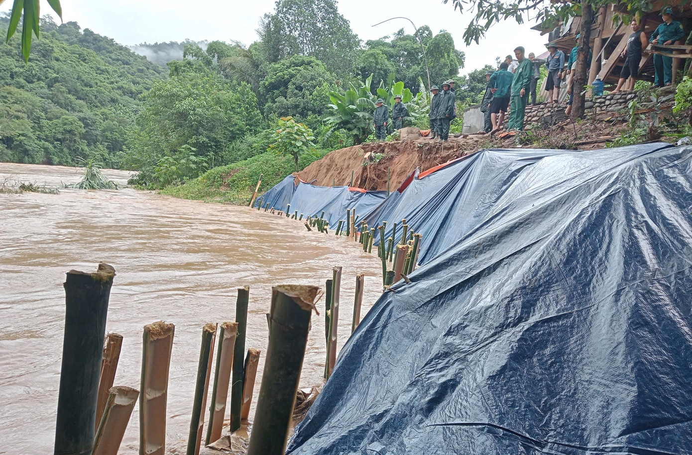 Người dân và cơ quan chức năng dùng bạt, bao tải cát, cọc tre gia cố bờ sông bị sạt lở. Người dân và cơ quan chức năng dùng bạt, bao tải cát, cọc tre gia cố bờ sông bị sạt lở.