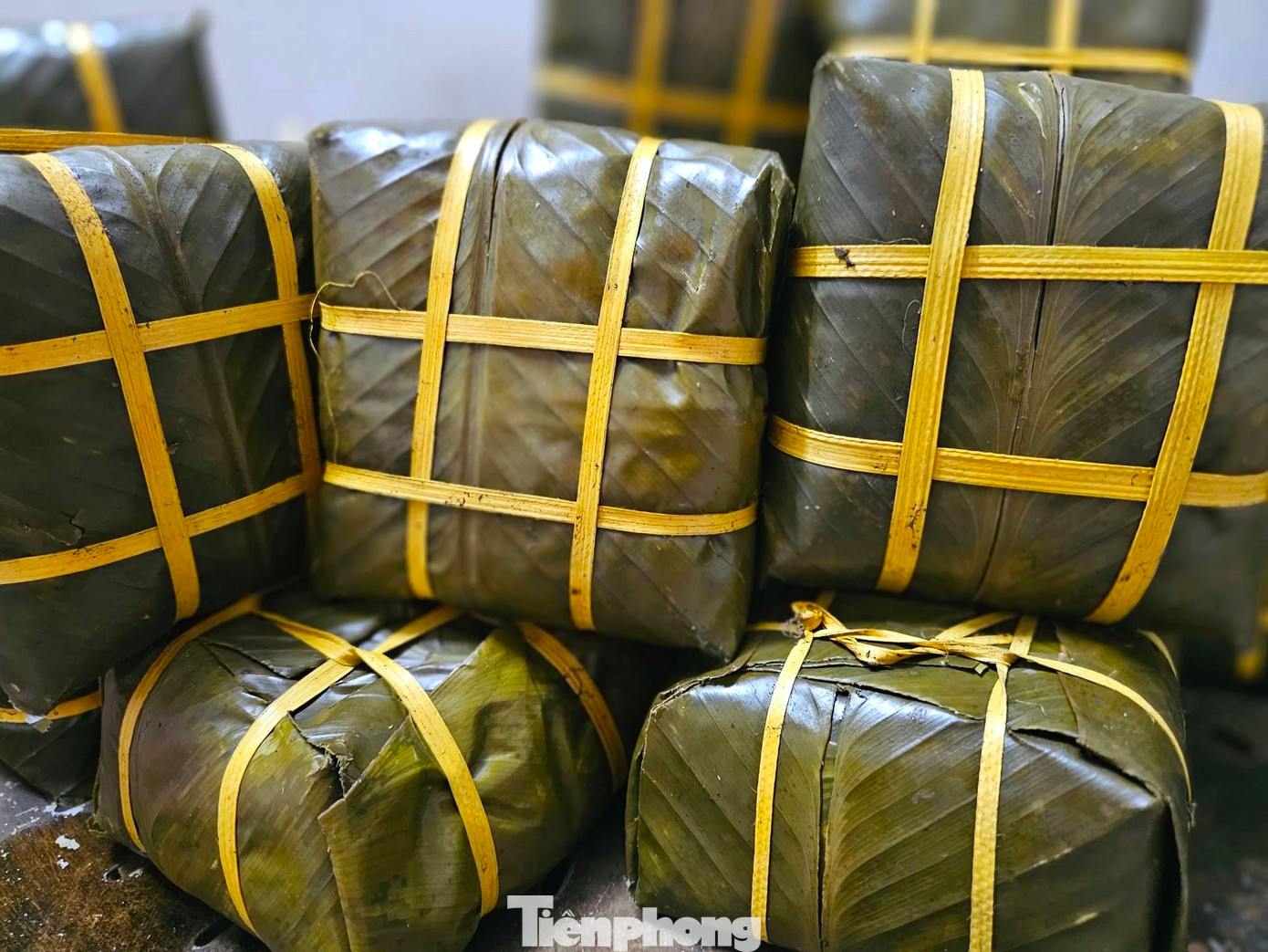 Những chiếc bánh chưng sau khi nấu chín sẽ được đưa ra làm nguội trước khi giao đến cho khách sử dụng.