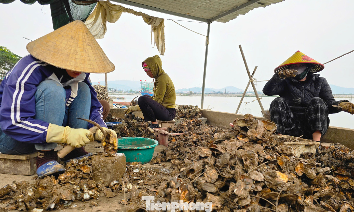 Tuy thu nhập ít nhưng đổi lại, nghề đục hàu không khó, không phải đi xa nên luôn thu hút đông đảo những người phụ nữ trong xã theo làm. Tuy thu nhập ít nhưng đổi lại, nghề đục hàu không khó, không phải đi xa nên luôn thu hút đông đảo những người phụ nữ trong xã theo làm.