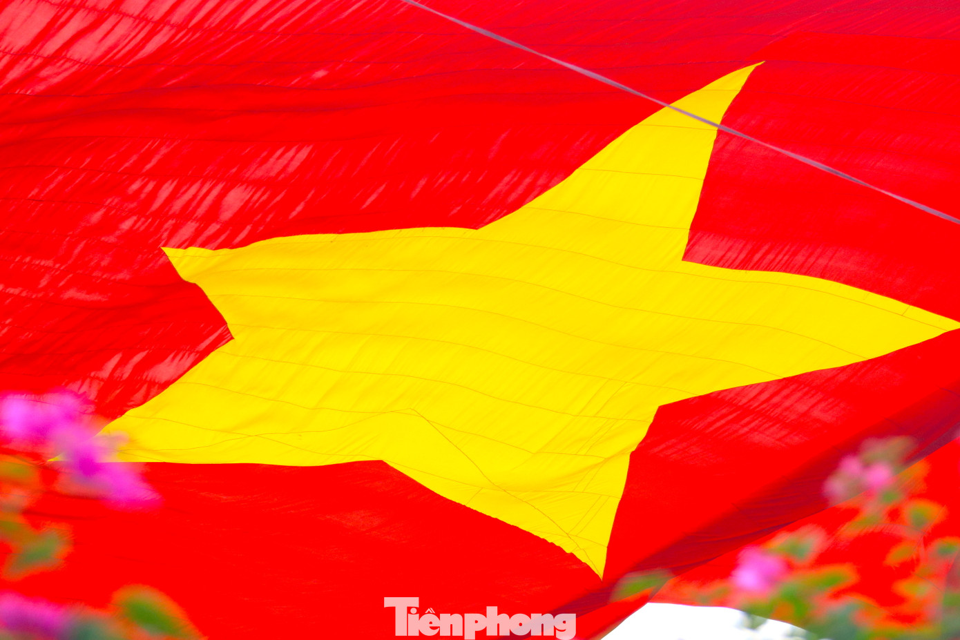 Đại kỳ Tổ quốc tung bay trên Quảng trường Hồ Chí Minh.