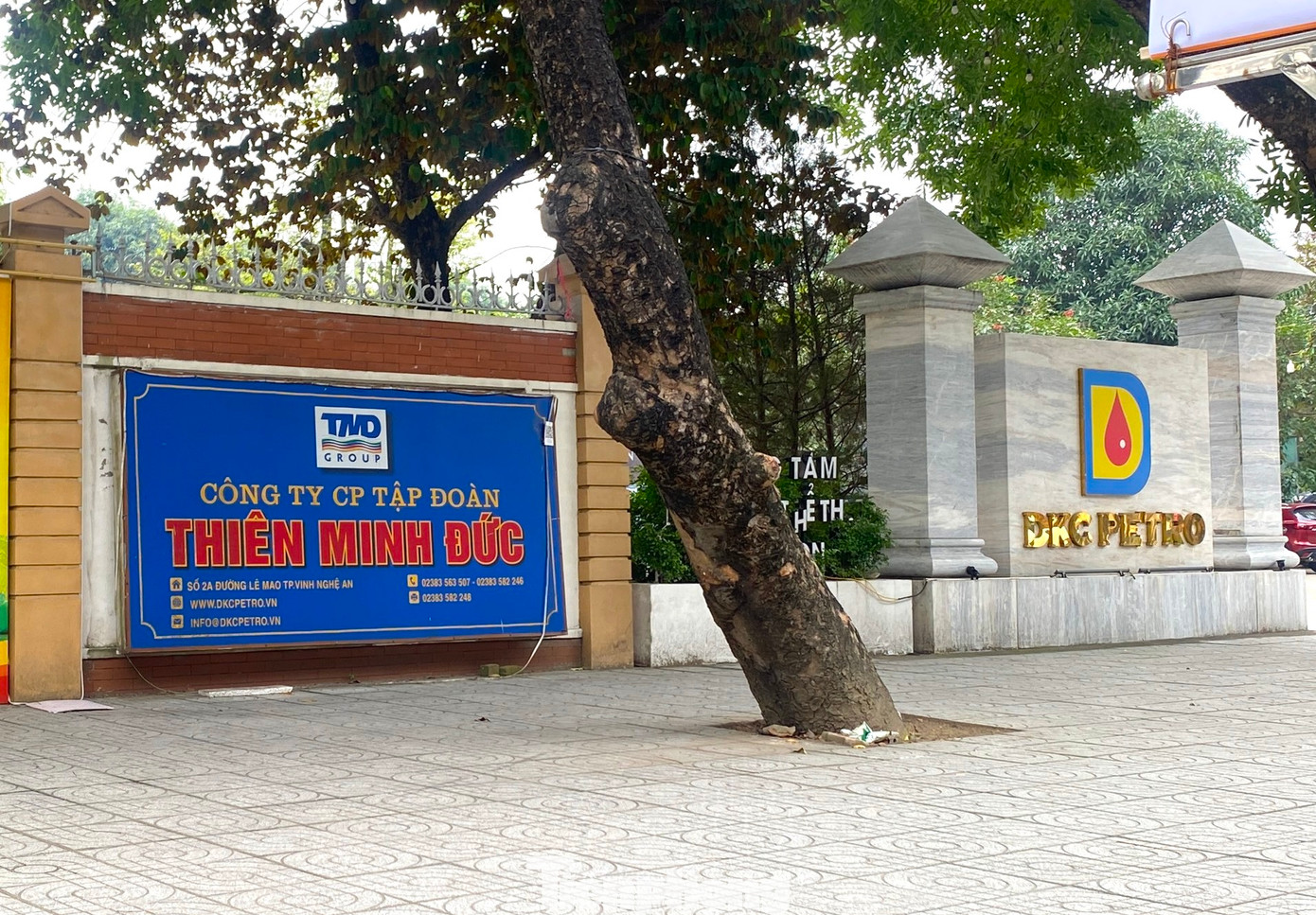 Tập đoàn Thiên Minh Đức có nhiều công ty con và ngành nghề khác nhau nhưng ngành nghề chính làm nên thương hiệu của công ty này là bán buôn nhiên liệu rắn, lỏng, khí và các sản phẩm liên quan.