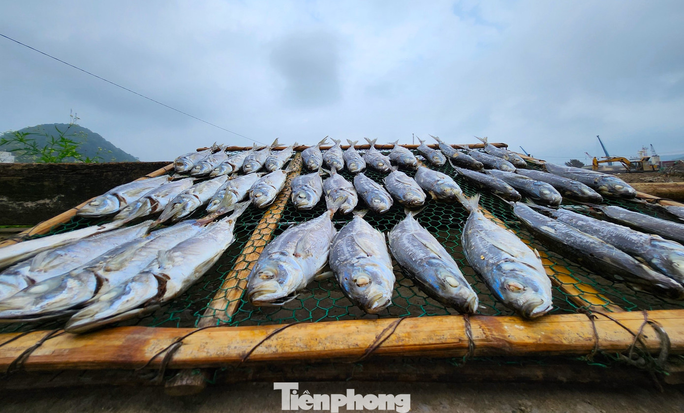 Một số cá sẽ được phơi nắng, phơi gió trực tiếp mà không cần nướng.