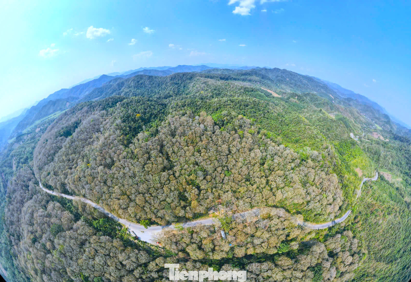 Toàn huyện Tương Dương hiện có gần 1.800ha cây tre mét. Cây tre mét dễ trồng, kinh phí đầu tư không lớn nên rất phù hợp với đồng bào các dân tộc ở huyện Tương Dương. Ông Nguyễn Văn Hòa - Trưởng phòng Nông nghiệp và môi trường huyện Tương Dương - cho biết, địa phương này đang phối hợp cùng với các đơn vị liên quan xúc tiến xây dựng chứng chỉ quản lý rừng bền vững (FSC) đối với rừng tre mét nhằm nâng cao giá trị xuất khẩu đối với những sản phẩm từ loài cây này. Toàn huyện Tương Dương hiện có gần 1.800ha cây tre mét. Cây tre mét dễ trồng, kinh phí đầu tư không lớn nên rất phù hợp với đồng bào các dân tộc ở huyện Tương Dương. Ông Nguyễn Văn Hòa - Trưởng phòng Nông nghiệp và môi trường huyện Tương Dương - cho biết, địa phương này đang phối hợp cùng với các đơn vị liên quan xúc tiến xây dựng chứng chỉ quản lý rừng bền vững (FSC) đối với rừng tre mét nhằm nâng cao giá trị xuất khẩu đối với những sản phẩm từ loài cây này.