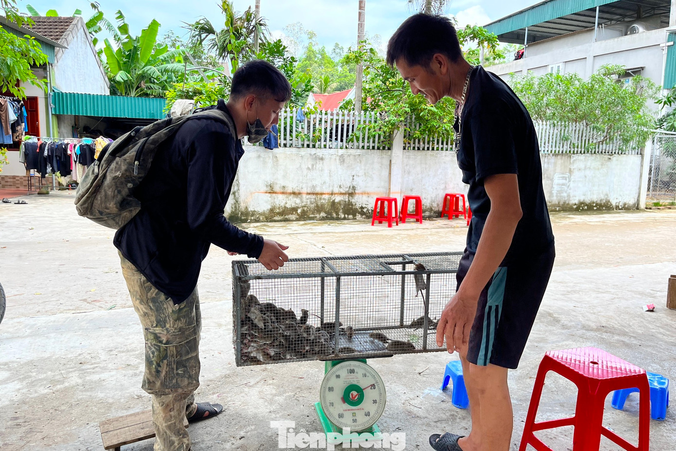Không chỉ bán lẻ cho khách địa phương và người đi đường, nhiều cơ sở còn thu mua với số lượng lớn để bán ra các tỉnh thành phía Bắc với hàng tấn chuột đồng mỗi ngày. Chính vì nổi tiếng với thịt chuột và số lượng mua bán nhiều nên nơi đây được coi là chợ chuột lớn nhất tỉnh Nghệ An.