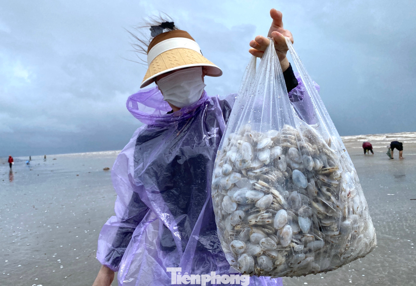 "Tôi mới nhặt có một giờ đồng hồ mà đã được hơn 5kg rồi. Dưới bãi biển còn nhiều nhưng đủ gia đình tôi dùng rồi nên không nhặt nữa", chị Hương (trú xã Diễn Trung) chia sẻ.