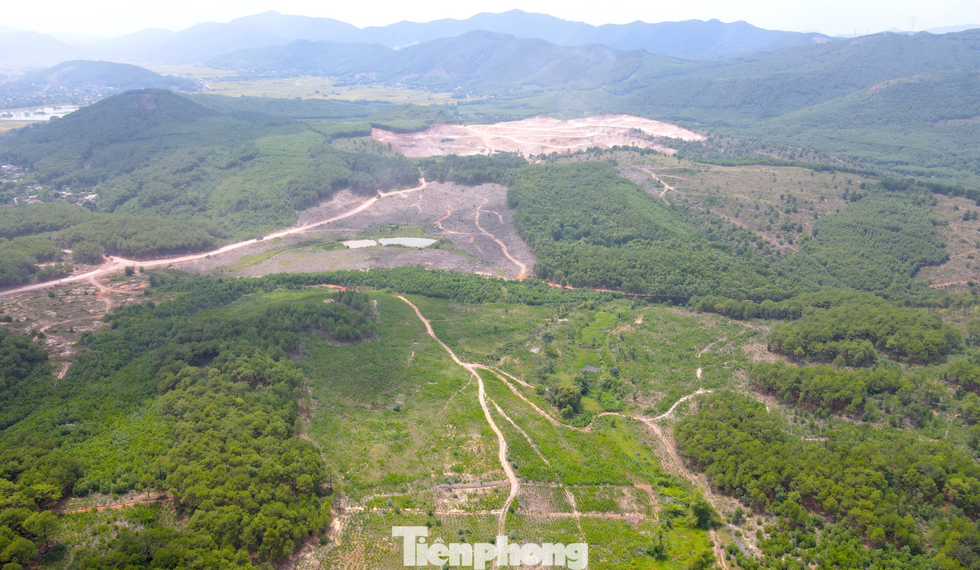 Khu đất được quy hoạch xây dựng dự án nghĩa trang công viên sinh thái rộng 60ha ở xóm 6 (xã Diễn Lợi, Diễn Châu, Nghệ An). Khu đất được quy hoạch xây dựng dự án nghĩa trang công viên sinh thái rộng 60ha ở xóm 6 (xã Diễn Lợi, Diễn Châu, Nghệ An).