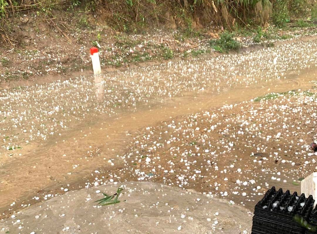 Mưa đá lớn xảy ra tại 3 xã của huyện Tương Dương (Nghệ An), nhiều mái ngói và tài sản của người dân bị hư hỏng. Mưa đá lớn xảy ra tại 3 xã của huyện Tương Dương (Nghệ An), nhiều mái ngói và tài sản của người dân bị hư hỏng.