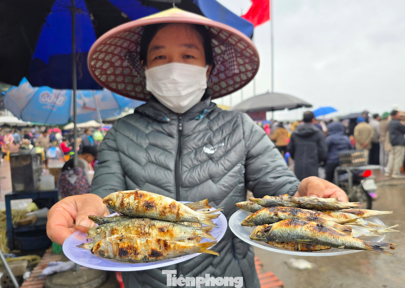 Trung bình mỗi đĩa cá trích có giá từ 20.000-30.000 đồng.