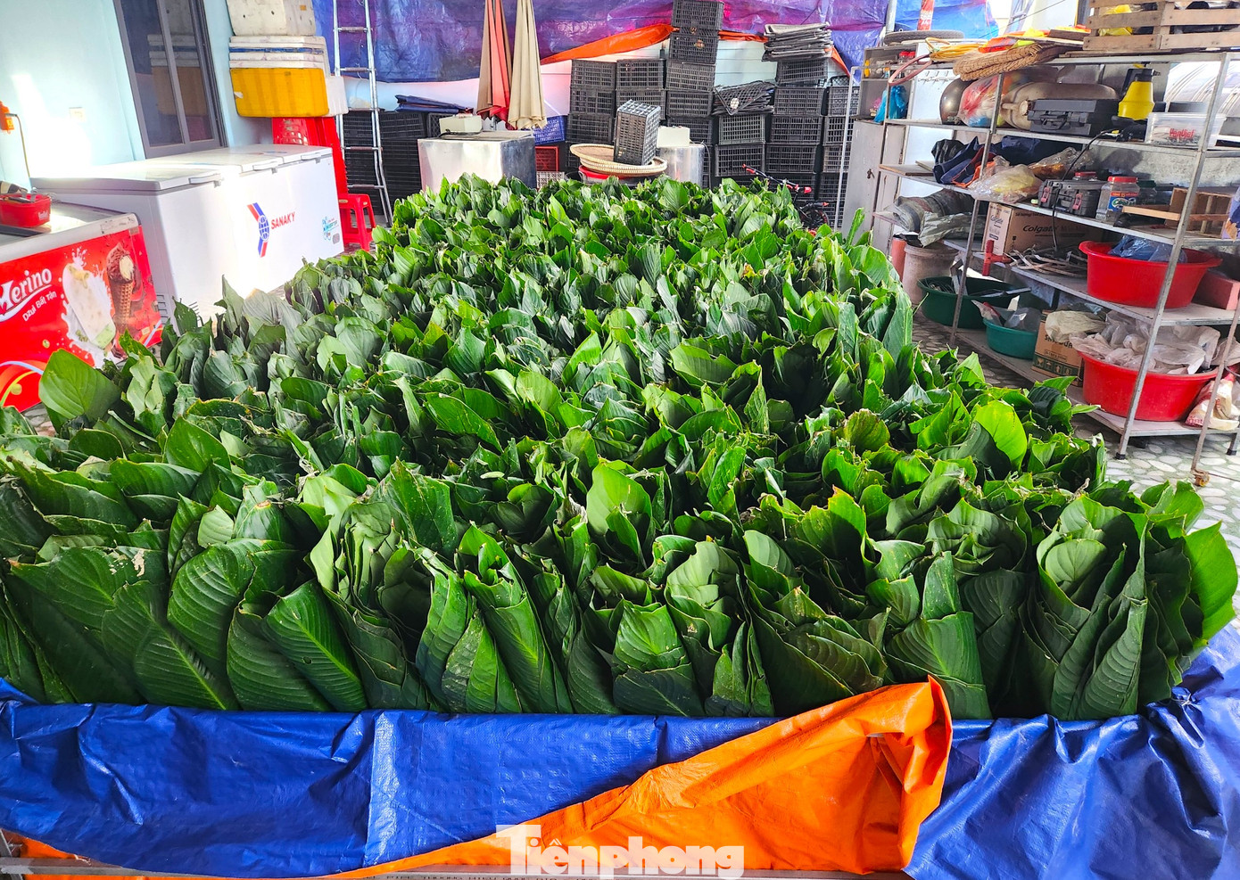 Bánh chưng ở làng nghề này được gói bằng lá dong và một số được gói bọc thêm lá chuối ở trong. Vì sản xuất lớn nên các cơ sở nơi đây thường mua hàng vạn chiếc lá về để gói dần. Để lá dong luôn được tươi, người dân sẽ quây bạt rồi nhúng cồi lá xuống mặt nước.