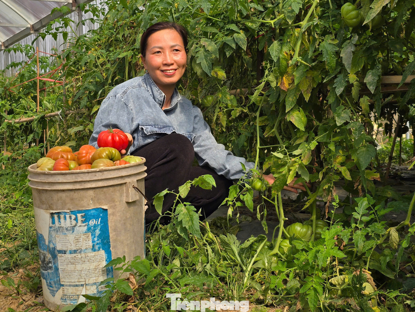 Nhờ chất lượng tốt, sạch và với sự hỗ trợ của địa phương trong việc quảng bá sản phẩm, kết nối tiêu thụ đầu ra, các sản phẩm nông sản của chị Giang luôn được khách hàng ưa chuộng. Trong năm 2024, chị Giang thu về hơn 800 triệu đồng, lợi nhuận ước đạt hơn 500 triệu đồng.