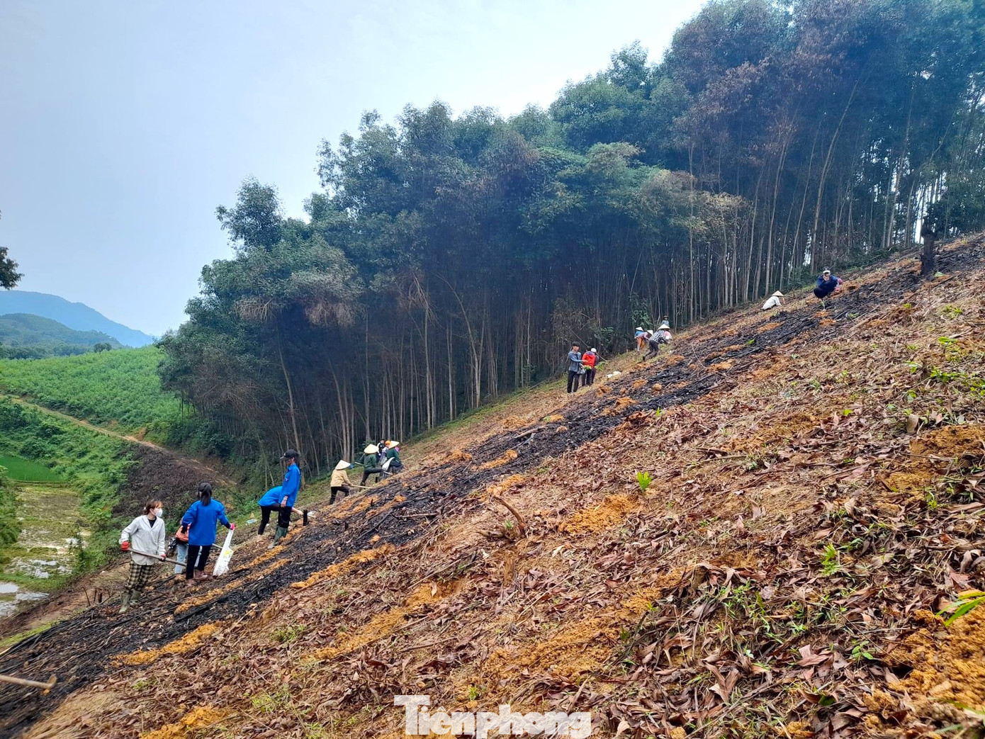 Được biết, ngoài gia đình anh Hoan, các đoàn viên thanh niên xã Thành Sơn và hội viên hội phụ nữ xã còn giúp trồng rừng cho hộ gia đình chị Ngân Thị Hoạch (trú thôn Hùng Thành, xã Thành Sơn) trồng rừng keo sau thu hoạch.