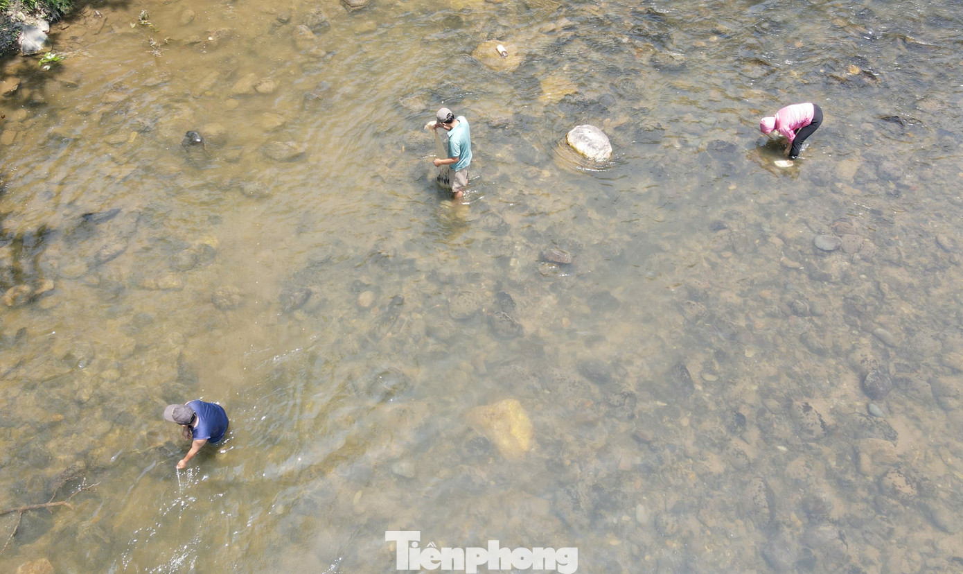 Nhu cầu lớn, giá cả đắt đỏ đã khiến loài cá này trở thành mục tiêu săn bắt của người dân với nhiều hình thức từ bẫy, thả lưới, kích điện thậm chí là đánh mìn.