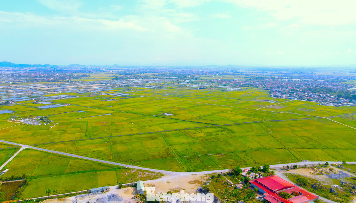 Cánh đồng rộng bát ngát tạo nên một mảng màu đẹp khi nhìn từ trên cao.