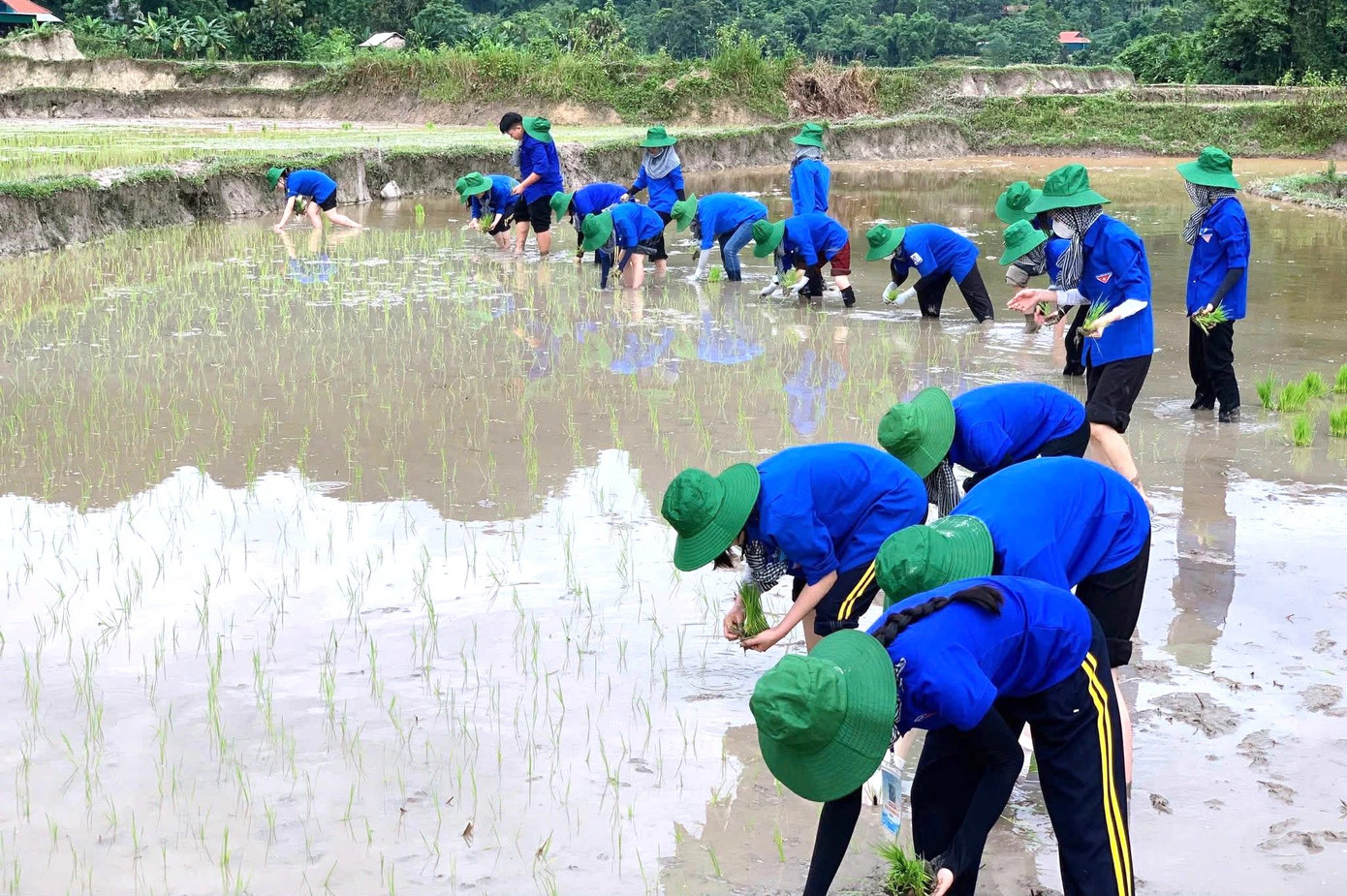 &quot;Đa số các bạn sinh viên chưa từng làm công việc này nên hơi vất vả. Những ngày đầu về, các bạn đều bị đau lưng, mỏi chân, đau gối. Nhưng không ai than phiền, trái lại, nụ cười luôn nở rạng rỡ trên gương mặt mỗi đoàn viên thanh niên&quot;, em Vi Thị Hằng (đội phó) chia sẻ.