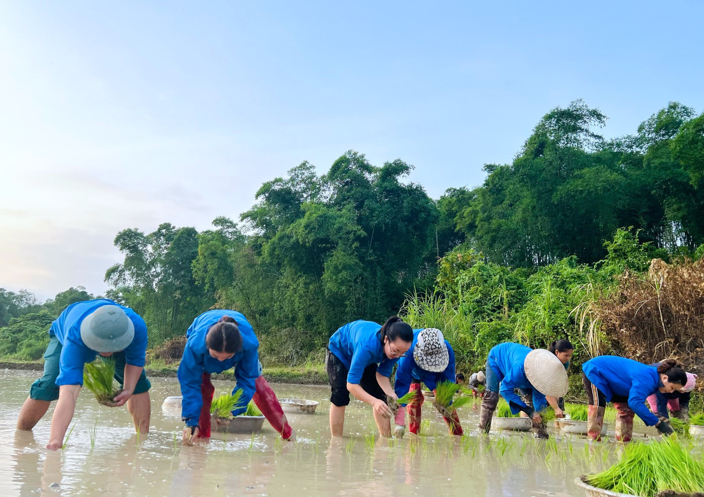 Để hỗ trợ các hộ gia đình có hoàn cảnh khó khăn, neo người, các đoàn viên thanh niên huyện Con Cuông đã tổ chức xuống đồng cấy lúa giúp người dân. Để hỗ trợ các hộ gia đình có hoàn cảnh khó khăn, neo người, các đoàn viên thanh niên huyện Con Cuông đã tổ chức xuống đồng cấy lúa giúp người dân.
