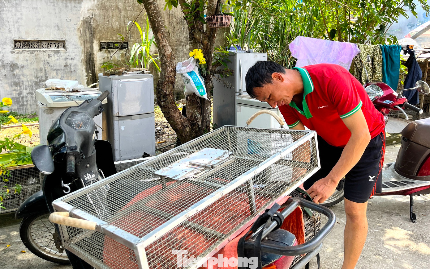 Không ai biết nghề bắt chuột, làm thịt chuột ở xã Đức Thành có từ bao giờ. Nhưng tiếng đồn vang xa, mọi người trong và ngoài tỉnh đều tìm đến đây mua chuột. Dần dần, chợ chuột ở xã Đức Thành ngày càng phát triển lớn. “Trước đây vào những ngày mưa, người dân thường tranh thủ ra đồng bắt chuột để bảo vệ mùa màng rồi tiện thể cải thiện bữa ăn. Chuột nhiều ăn không hết, một số người lại mang ra dọc đường bán cho người dân trong vùng. Rồi dần dần nơi đây trở thành chợ mua bán chuột", ông Cung Đình Phong (60 tuổi, trú xã Đức Thành) nói.