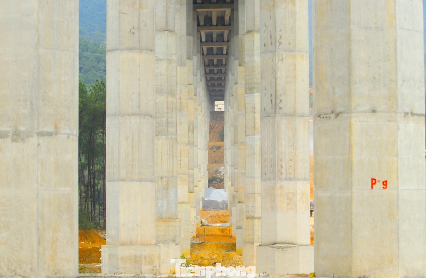 Những cây cầu "khổng lồ" với những dãy cột bê tông cao hàng chục mét đang dần hình thành trên tuyến cao tốc Bắc - Nam, đoạn Diễn Châu - Bãi Vọt.