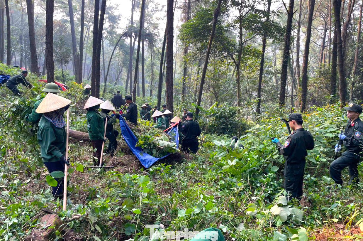 Các đoàn viên thanh niên, cán bộ chiến sĩ Trung đoàn cảnh sát cơ động Bắc Trung Bộ tiến hành dọn cây cỏ, tạo cảnh quan môi trường xanh sạch đẹp cho khuôn viên khu mộ.