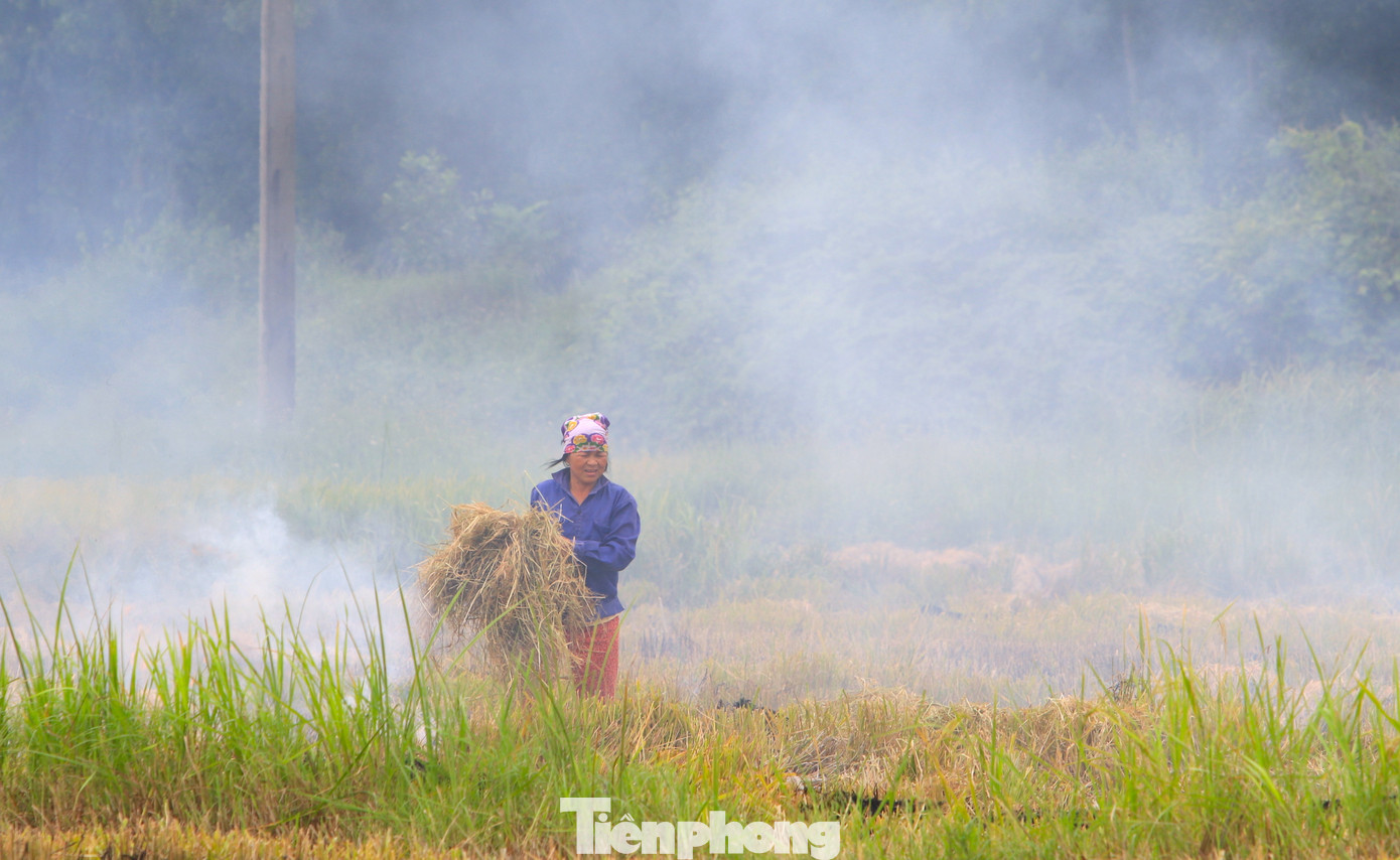 Dù có nhiều người thu gom rơm nhưng một số người dân sau khi thu hoạch lúa vẫn xuống ruộng để đốt rơm thừa khiến khói bao trùm cả một vùng rộng lớn, gây ô nhiễm môi trường.