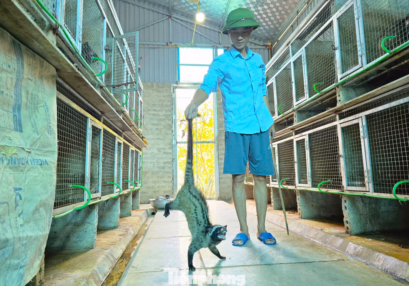 Thời gian qua anh Cử đã chia sẻ kinh nghiệm và cấp giống cho nhiều người đến học tập.