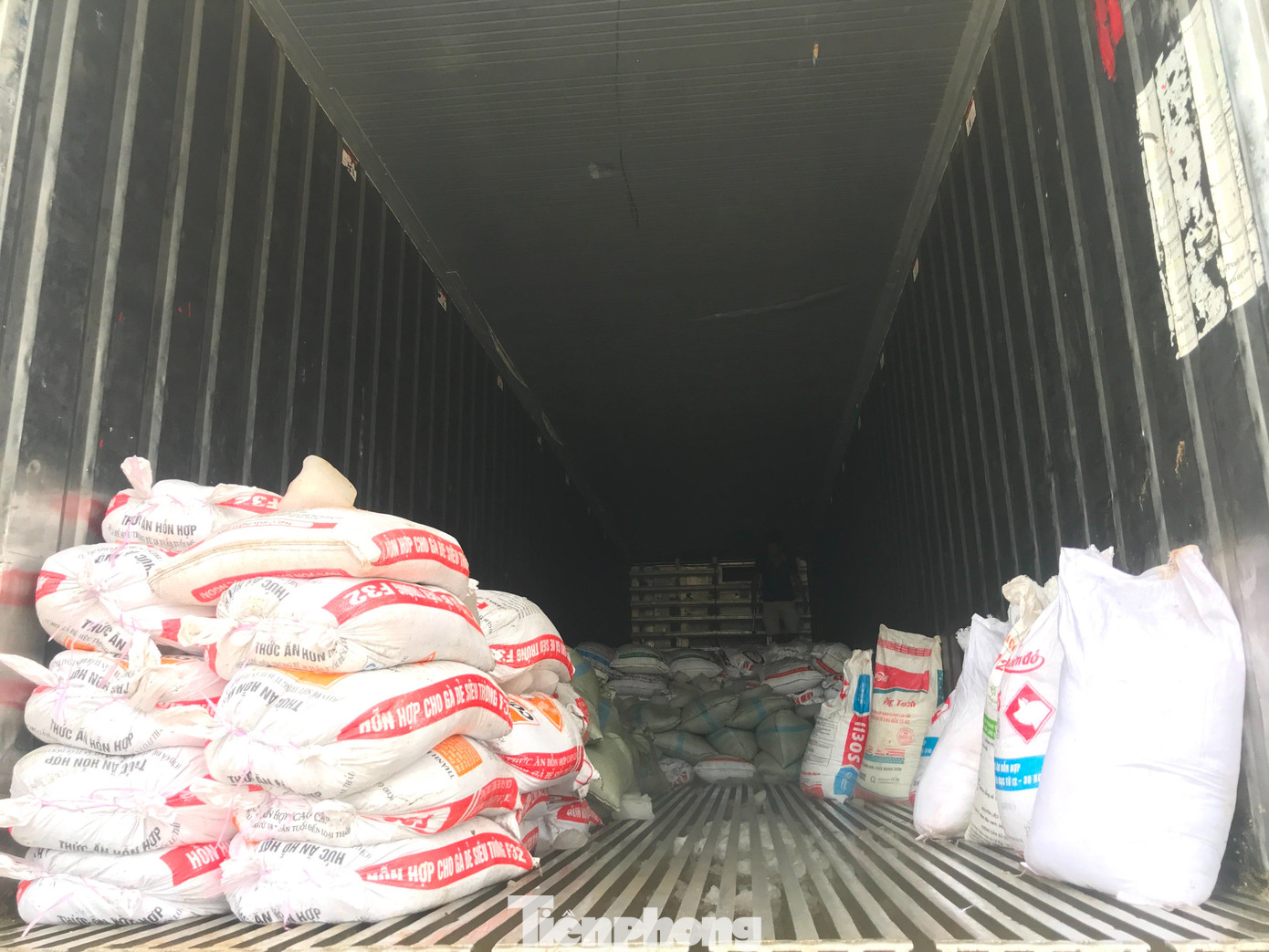 Mỗi bao tải con chem chép nặng 50kg được các thương lái thu mua với giá trung bình từ 180.000 đồng đến 200.000 đồng. Mỗi bao tải con chem chép nặng 50kg được các thương lái thu mua với giá trung bình từ 180.000 đồng đến 200.000 đồng.