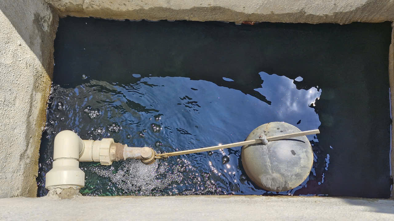 Cơ quan chức năng xác định bể nước của chung cư bị nứt nẻ dẫn đến việc nước bẩn ngấm vào bể nước sinh hoạt của chung cư. Cơ quan chức năng xác định bể nước của chung cư bị nứt nẻ dẫn đến việc nước bẩn ngấm vào bể nước sinh hoạt của chung cư.