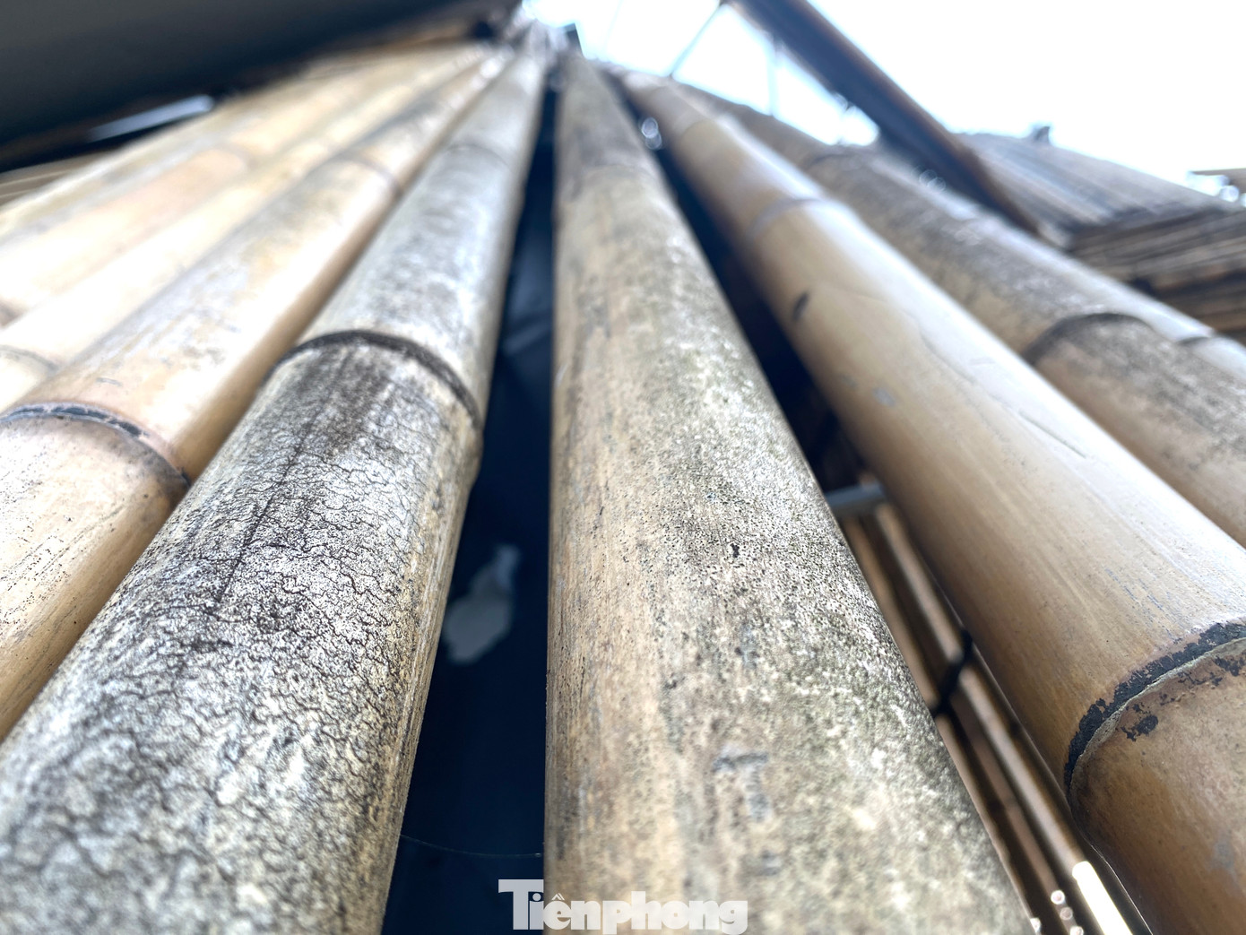 Con voi được anh Nam thiết kế tỉ mỉ từ 2.000 cây tre lớn nhỏ khác nhau. “Chất liệu tre, trúc được sử dụng khá nhiều trong các công trình kiến trúc nghệ thuật gần đây. Tuy nhiên, kết hợp giữa nghệ thuật và tre để tạo nên một con voi khổng lồ thì chưa thấy ai làm. Chính vì vậy tôi đã lên ý tưởng để tạo nên con voi này. Ngoài hình voi, tôi cũng vẽ một bức tranh lớn Hai Bà Trưng để gợi nhớ lại lịch sử ngày xưa cho các bạn trẻ”, anh Nam nói.