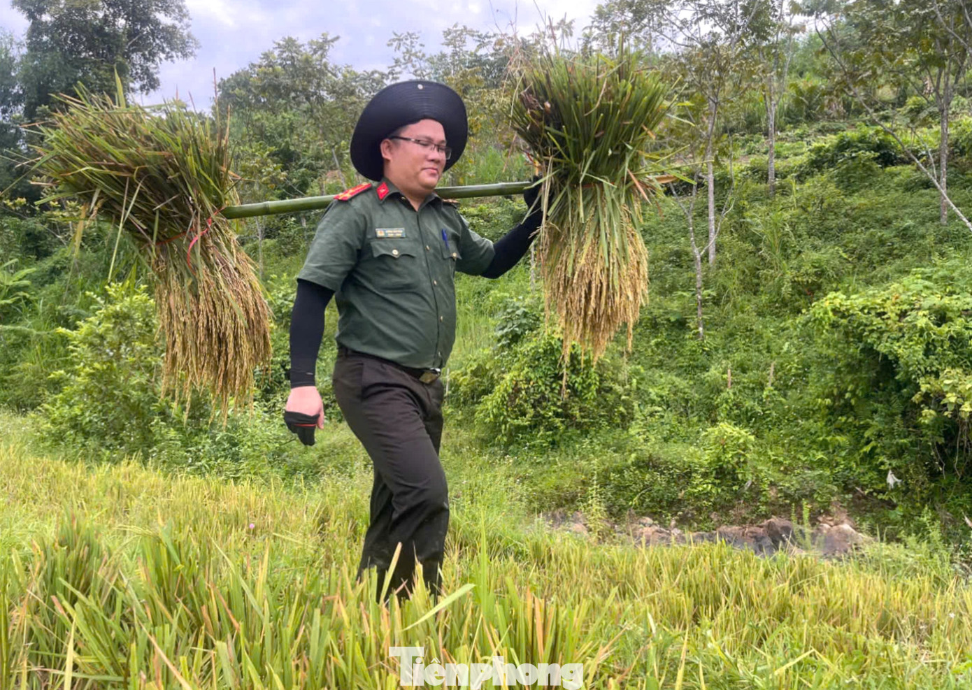 Sau khi gặt xong, từng bó lúa được gánh về. Sau khi gặt xong, từng bó lúa được gánh về.