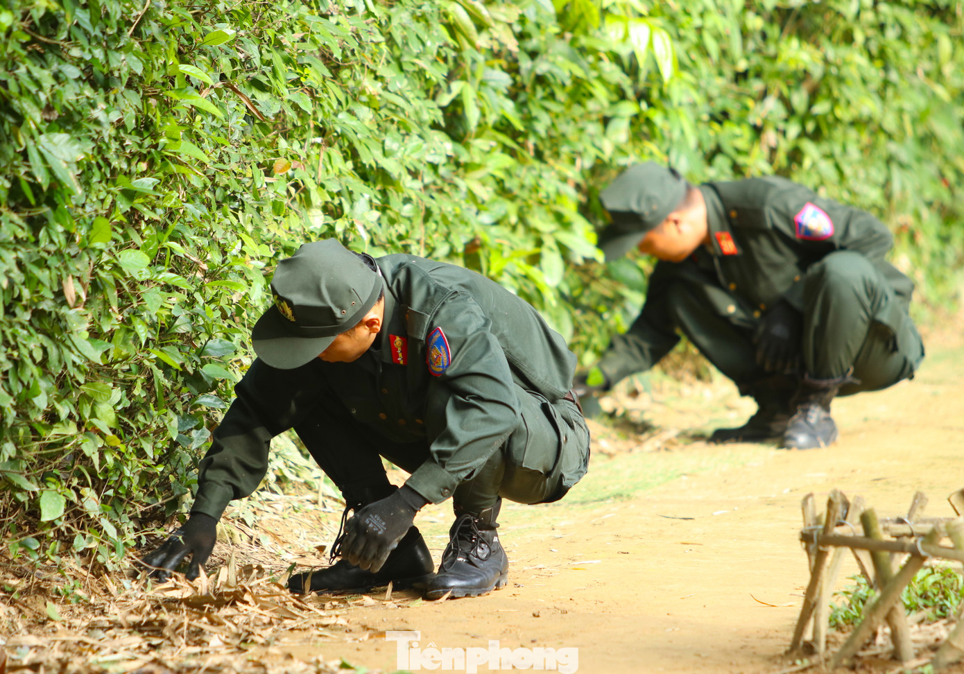 Quét dọn lá cây bờ rào nhà Bác Hồ và nhà tưởng niệm.