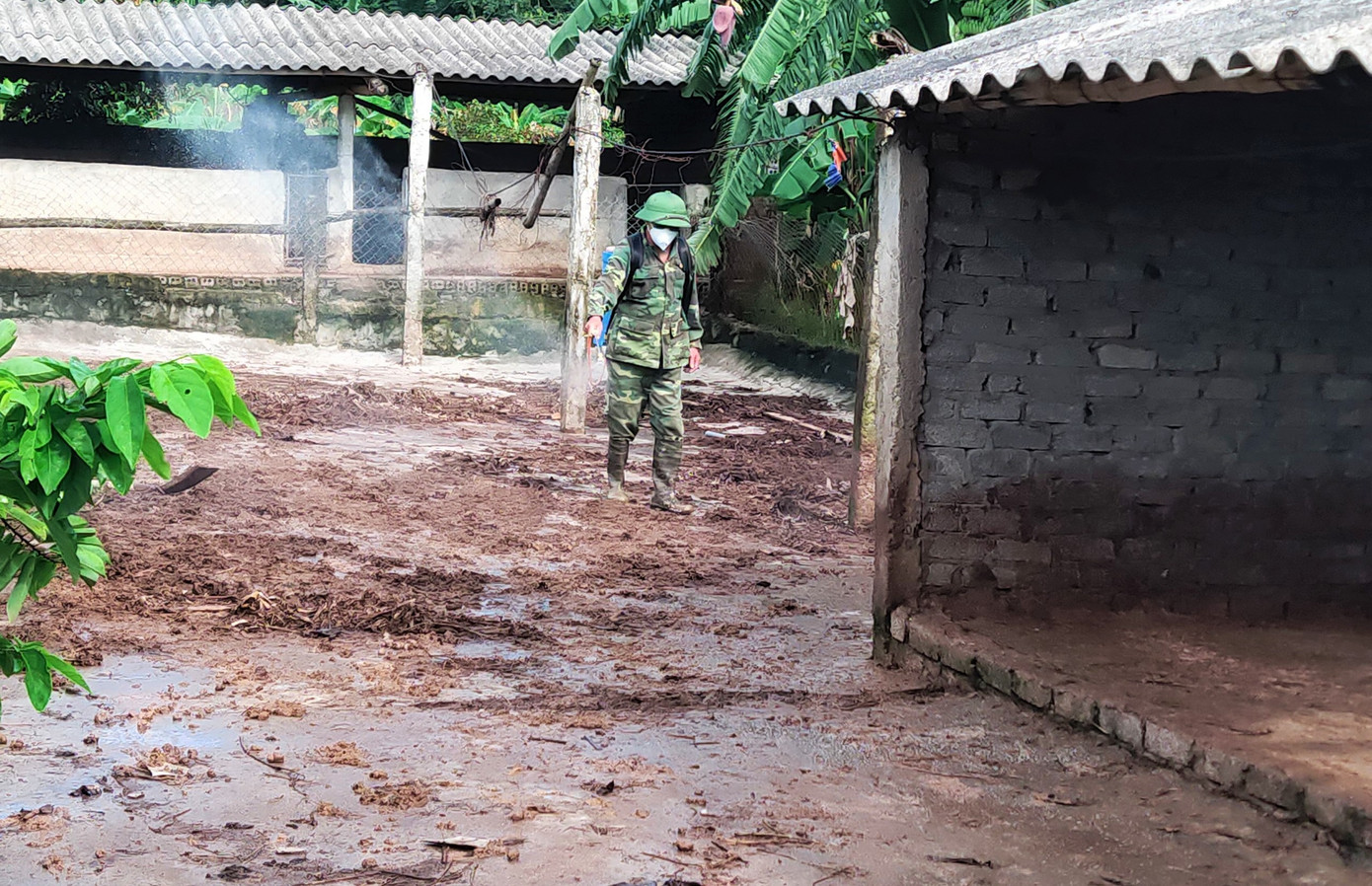 Cơ quan chức năng phun khử trùng khu vực có dịch tả lợn Châu Phi.