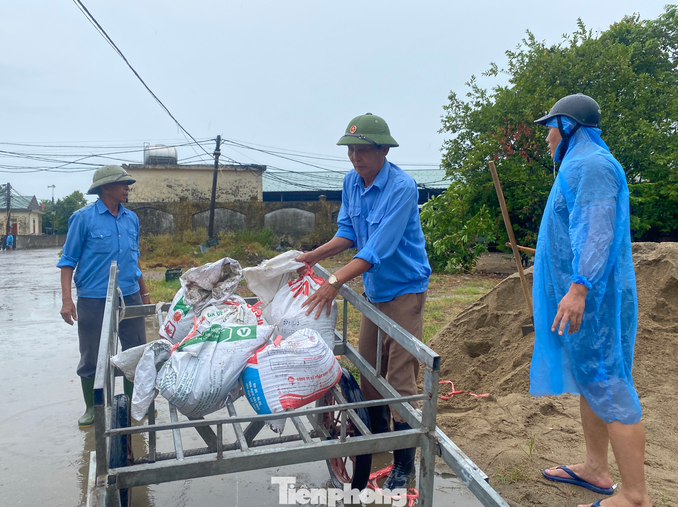 Ông Nguyễn Văn Cường - Trưởng Ban quản lý Bến cá Nghi Thủy cho biết, dù Nghệ An không phải là tâm bão Yagi đổ bộ, nhưng để phòng tránh thiệt hại, đơn vị này đề nghị người dân buôn bán ở bến cá chằng chống các ki ốt, cắt tỉa cây xanh. Các cán bộ được huy động để chằng néo mái tôn, các khu vực xung yếu để chống bão. Ông Nguyễn Văn Cường - Trưởng Ban quản lý Bến cá Nghi Thủy cho biết, dù Nghệ An không phải là tâm bão Yagi đổ bộ, nhưng để phòng tránh thiệt hại, đơn vị này đề nghị người dân buôn bán ở bến cá chằng chống các ki ốt, cắt tỉa cây xanh. Các cán bộ được huy động để chằng néo mái tôn, các khu vực xung yếu để chống bão.