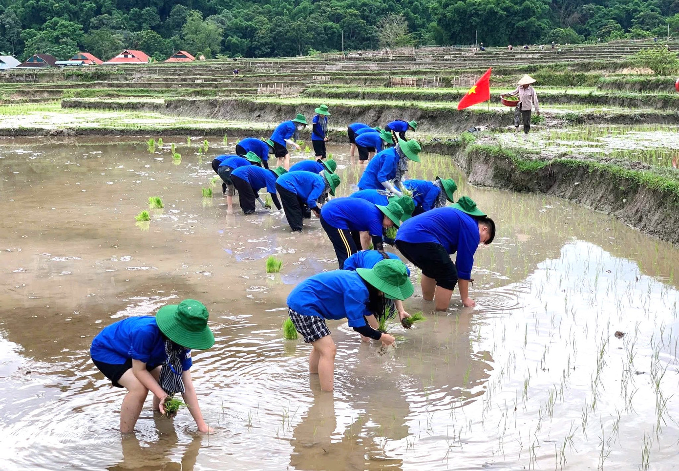 “Những ngày đầu, ngoài dọn vệ sinh môi trường công cộng, chúng em cấy lúa giúp các hộ gia đình có hoàn cảnh khó khăn, neo người để mùa vụ được hoàn thành đúng thời gian”, đội trưởng Quang Thị Hương Trà nói.