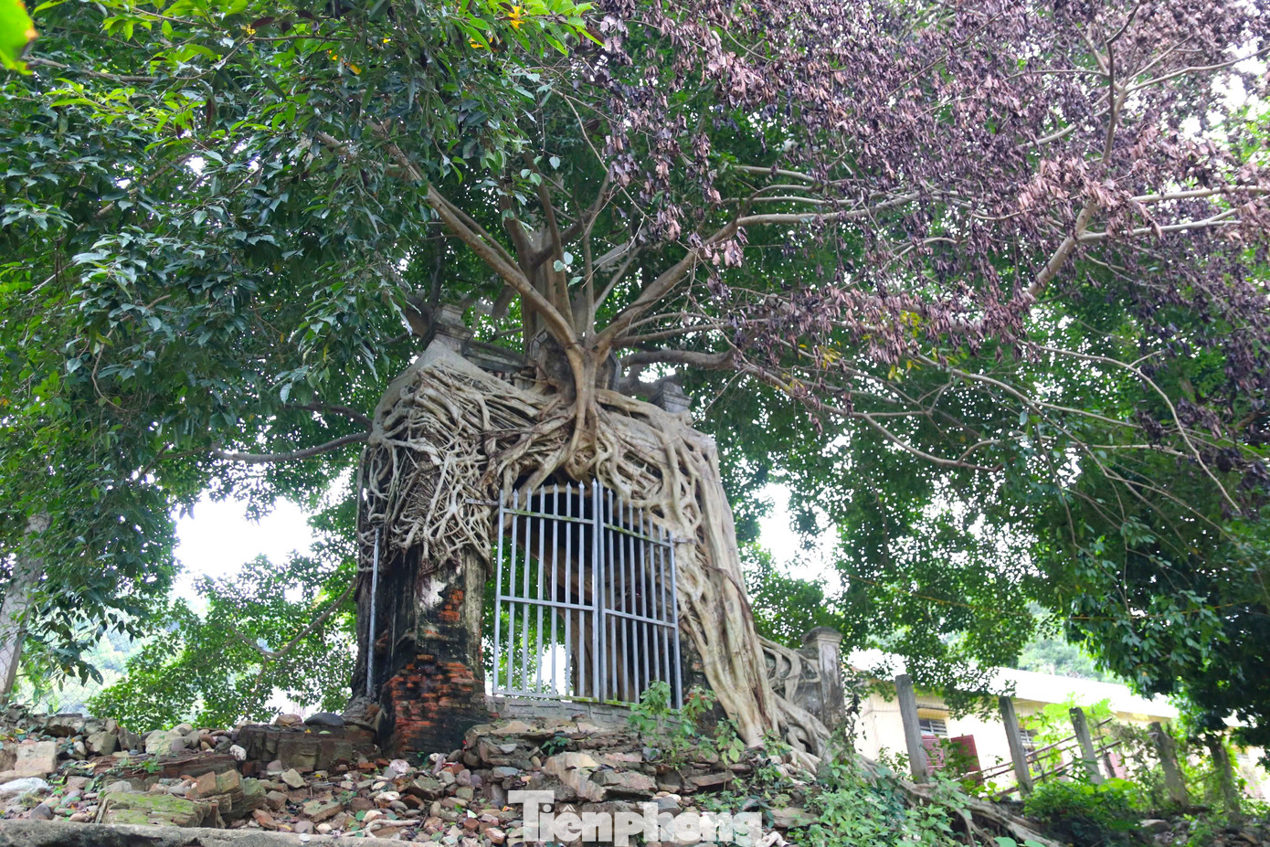 Cánh cổng phủ có từ bao giờ ngay cả người lớn tuổi nhất ở trong vùng cũng không nhớ nổi. Họ chỉ biết khi lớn lên, cánh cổng đã có từ rất lâu, ước chừng cả trăm năm tuổi.