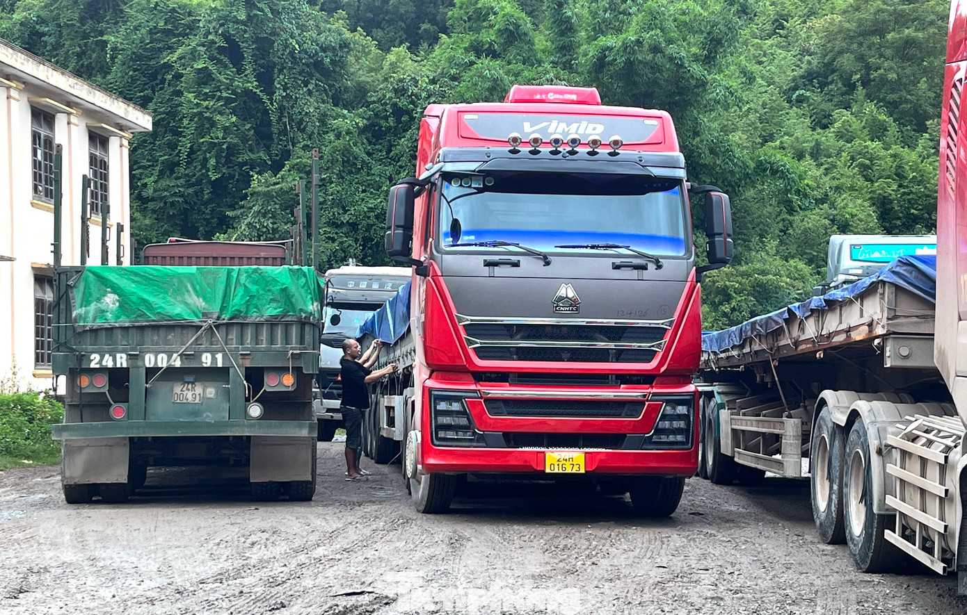 Xe tập kết tại khu vực Cửa khẩu Nậm Cắn (Kỳ Sơn, Nghệ An) chờ di chuyển về trả hàng.