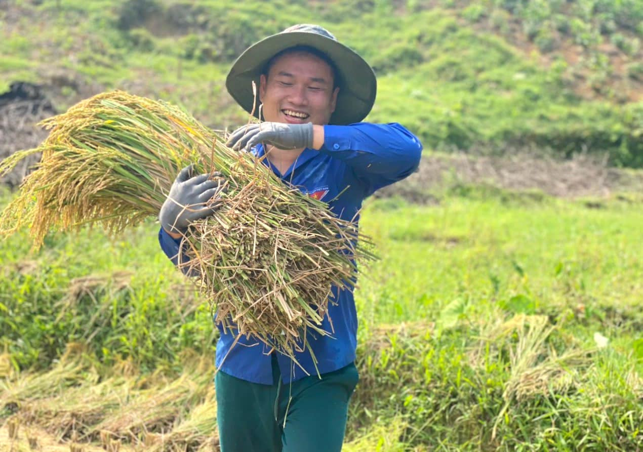 Các đoàn viên thanh niên xuống đồng giúp bà con gặt lúa; hiến máu tình nguyện; cắm biển cảnh báo chống đuối nước; trao tặng các công trình thiếu nhi “Vì đàn em thân yêu; tu sửa nghĩa trang liệt sĩ; thực hiện các “Đường cờ thanh niên”,…