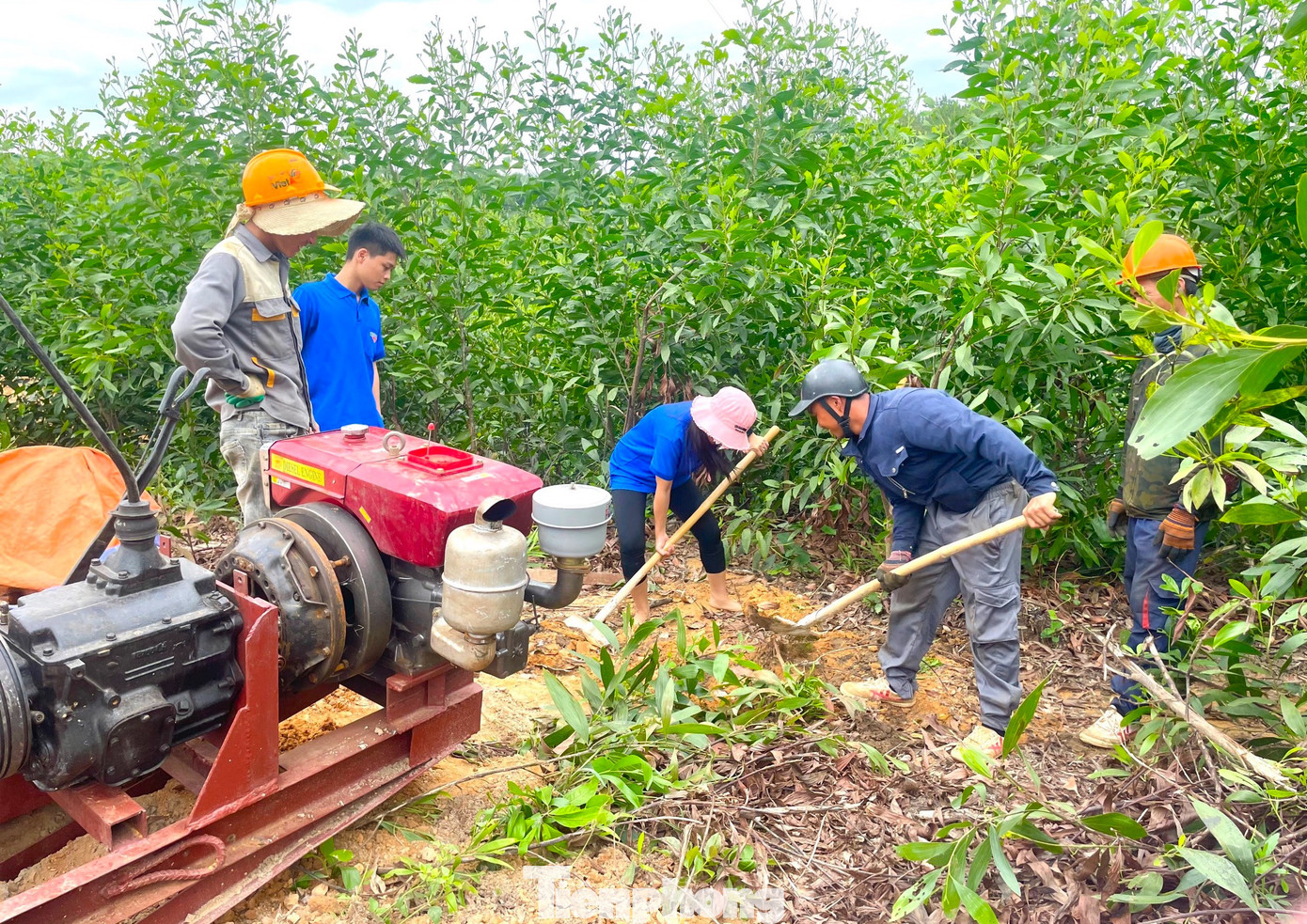 Đoàn viên thanh niên huyện Quỳnh Lưu có mặt tại công trường để hỗ trợ công nhân trong quá trình thi công cột điện 500kV mạch 3 qua địa bàn. Đoàn viên thanh niên huyện Quỳnh Lưu có mặt tại công trường để hỗ trợ công nhân trong quá trình thi công cột điện 500kV mạch 3 qua địa bàn.