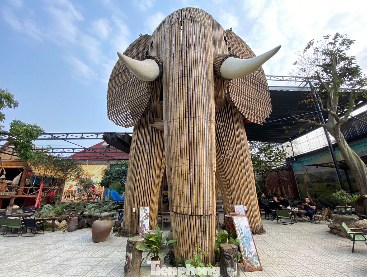 Theo anh Lê Văn Nam (chủ quán) cho biết, hình con voi được anh thiết kế tạo điểm nhấn cho quán cafe với mong muốn mọi người bảo tồn thiên nhiên, bảo tồn động vật hoang dã. Ngoài ra, anh còn muốn đưa đến cho mọi người một không gian trải nghiệm gần gũi với thiên nhiên sau những ngày dài làm việc mệt nhọc.