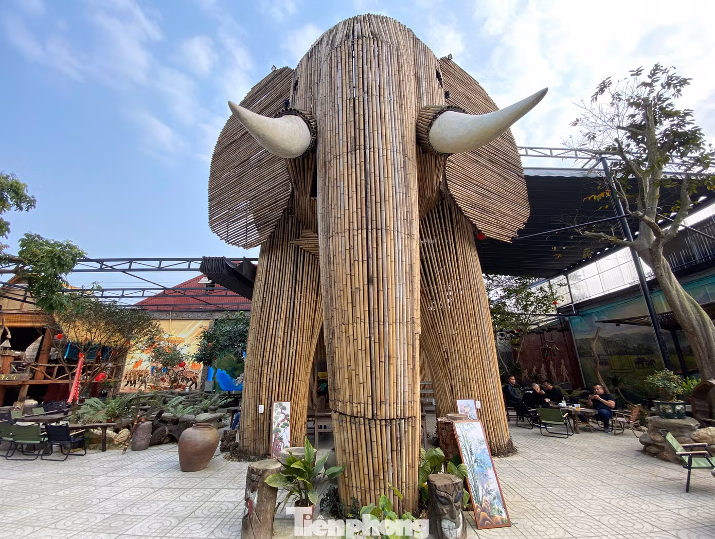 Theo anh Lê Văn Nam (chủ quán) cho biết, hình con voi được anh thiết kế tạo điểm nhấn cho quán cafe với mong muốn mọi người bảo tồn thiên nhiên, bảo tồn động vật hoang dã. Ngoài ra, anh còn muốn đưa đến cho mọi người một không gian trải nghiệm gần gũi với thiên nhiên sau những ngày dài làm việc mệt nhọc.