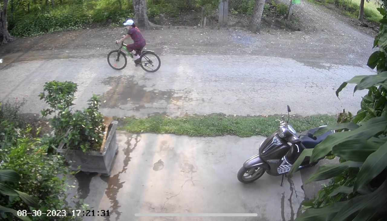 Hình ảnh trích xuất từ camera cho thấy bà L. đạp xe đi thể dục một mình trên đường làng. Hình ảnh trích xuất từ camera cho thấy bà L. đạp xe đi thể dục một mình trên đường làng.