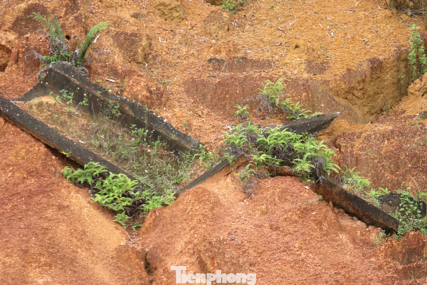 Ghi nhận của PV vào những ngày trung tuần tháng 9/2023, nhiều đoạn đất sạt lở lấn sâu vào tuyến đường trên mặt kênh và tiến sát vào khu vực dân cư.